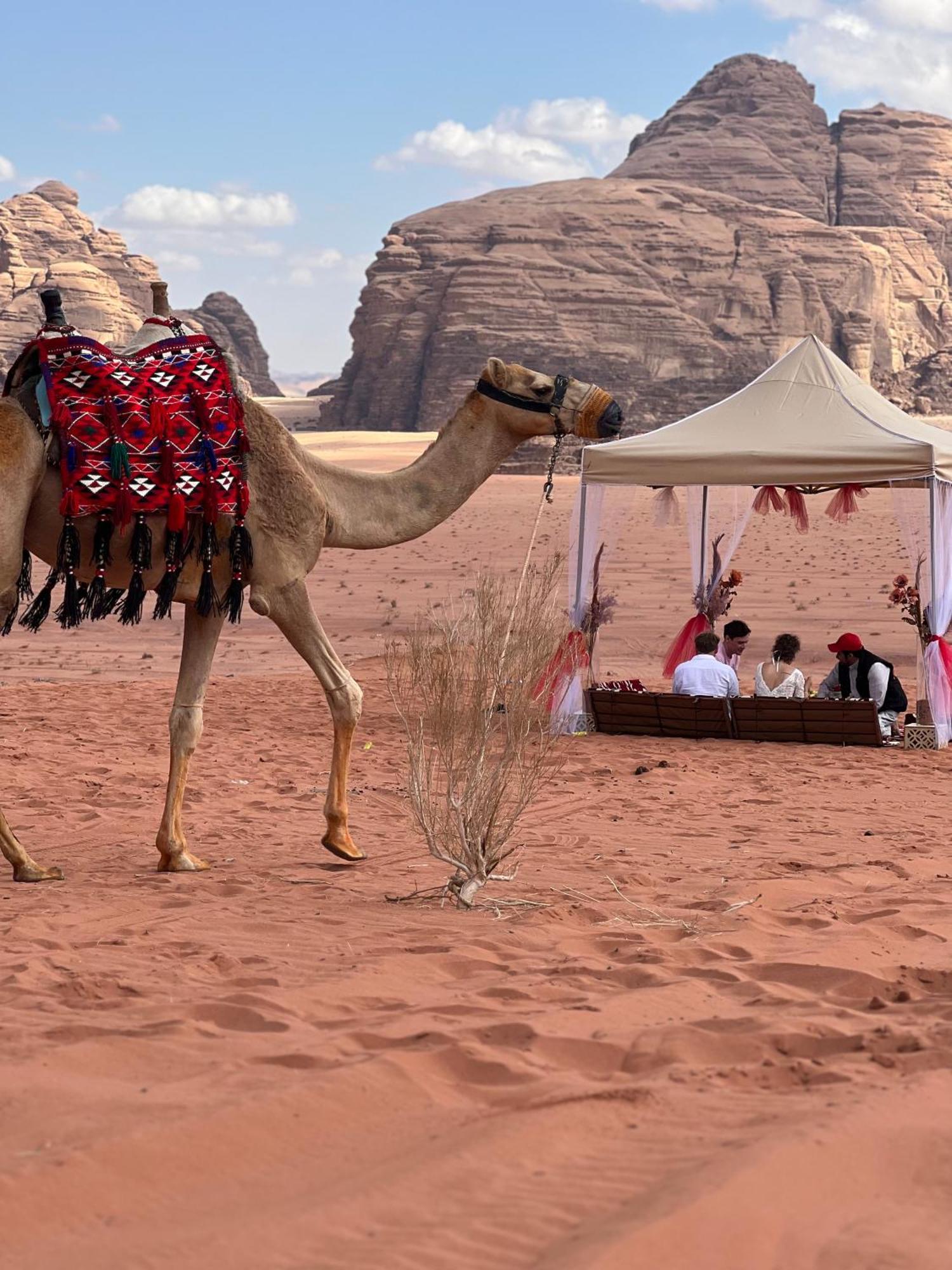 Moon Magic Valley Apartment Wadi Rum Bagian luar foto