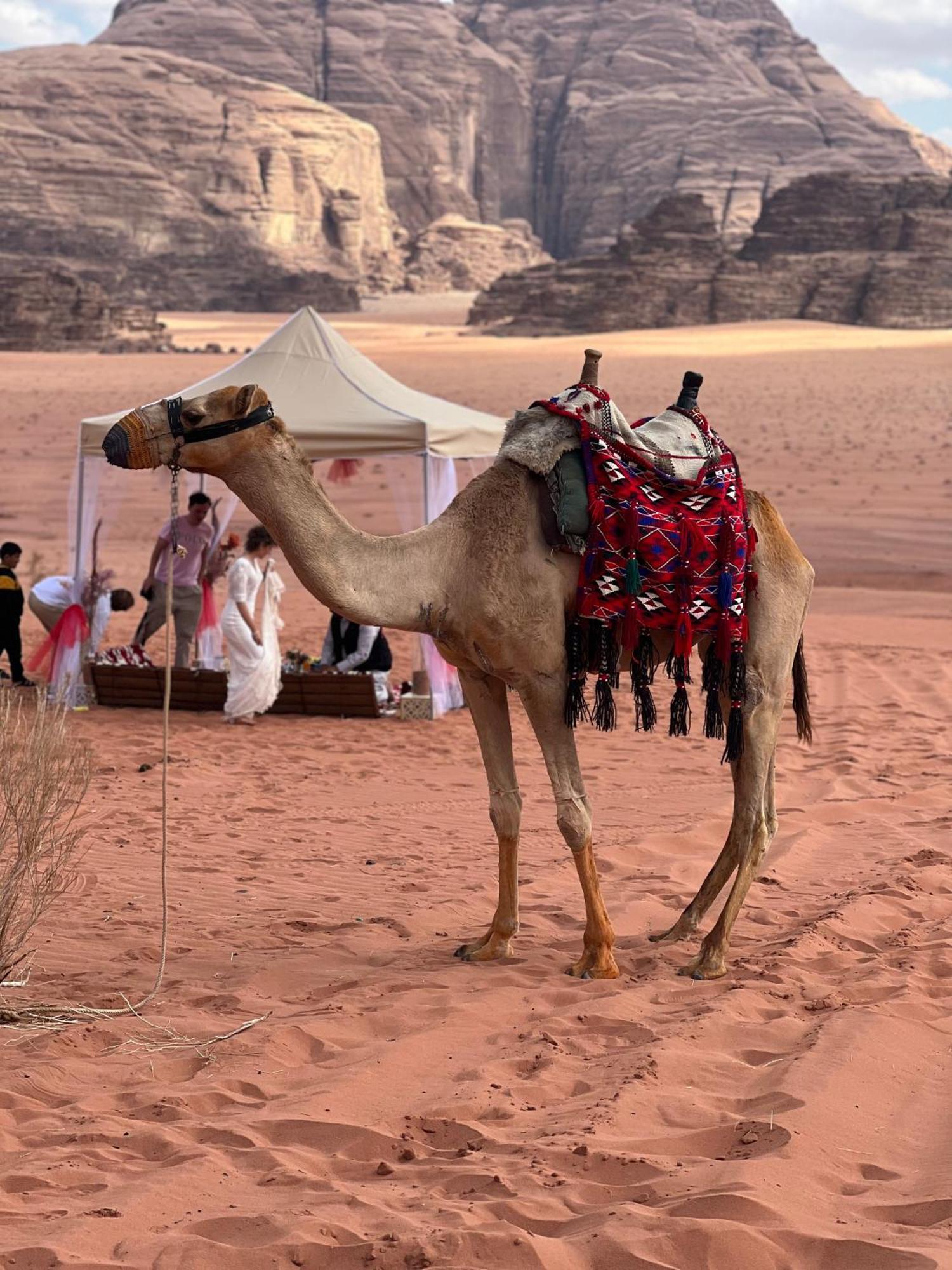Moon Magic Valley Apartment Wadi Rum Bagian luar foto