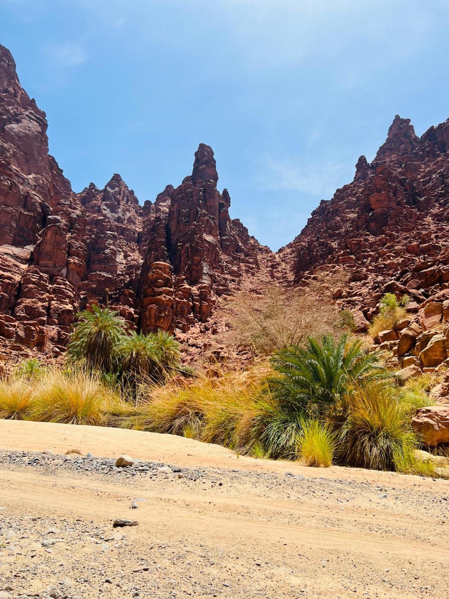 Moon Magic Valley Apartment Wadi Rum Bagian luar foto